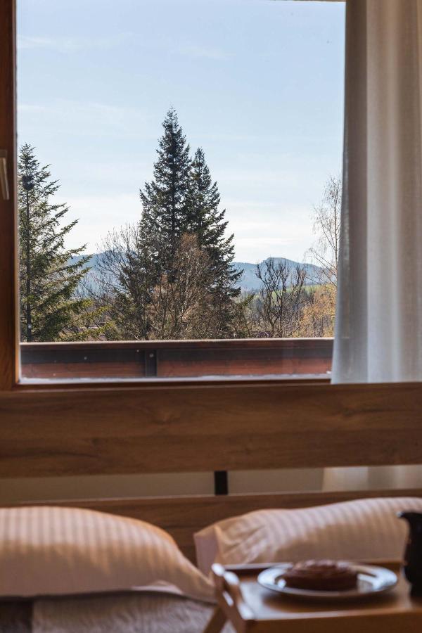 Apartament Cztery Tulipany ザコパネ エクステリア 写真