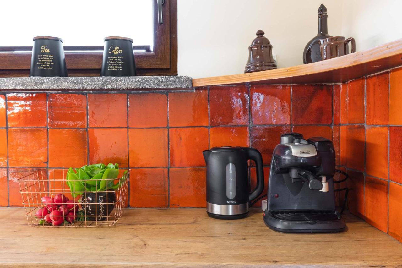 Apartament Cztery Tulipany ザコパネ エクステリア 写真